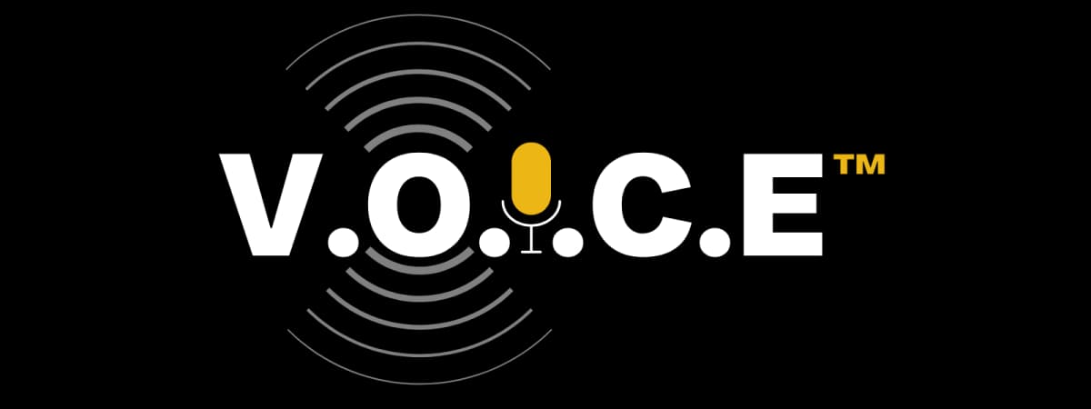 V.O.I.C.E™ - Visibility Optimisation for Intelligent Conversational Engines